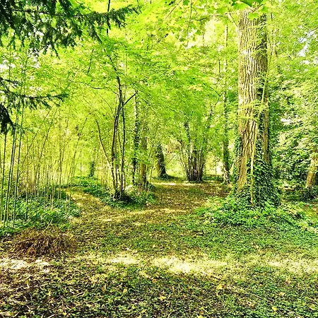 Villa Edouard - 180M2 In Nature & Forest - 20Min Disney - 7Min Airport Claye-Souilly Exterior foto