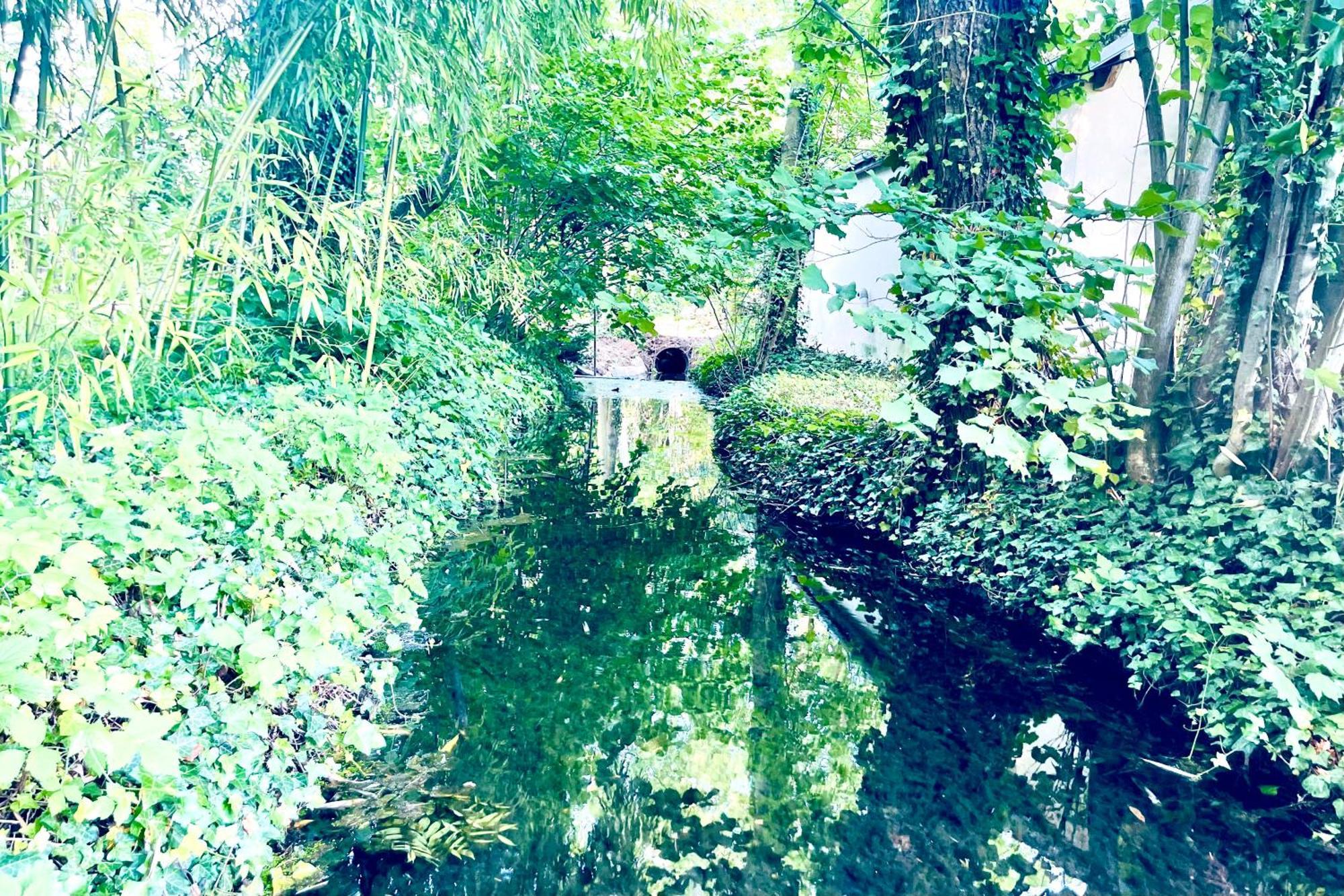 Edouard - 180m2 In Nature & Forest - 20min - 7min Airport Claye-Souilly