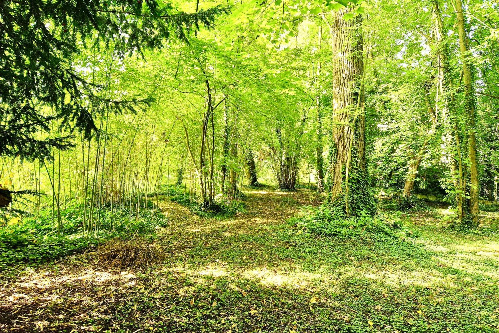 Edouard - 180m2 In Nature & Forest - 20min - 7min Airport